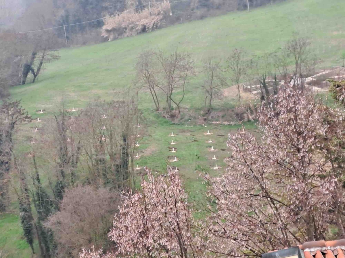 Nuove sperimentazioni sulle piante da tartufo e sulle antiche &laquo;cultivar&raquo; di frutta locale