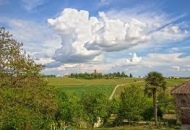 Anteprima del programma di Golosaria in. Rosignano e riconoscimento di Citt&agrave; dell'Olio