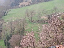 Area di piantumazione