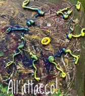 "All'attacco!" di Antonella Angiolini