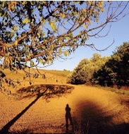 La Natura, Antonella Angiolini